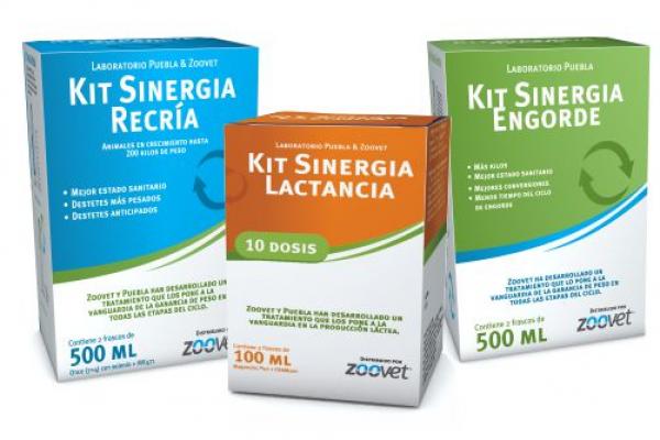 Kits Sinergia