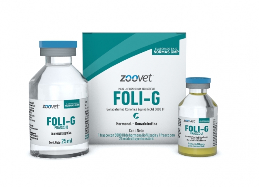 FOLI-G