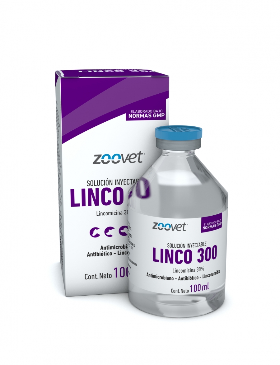 LINCO 300