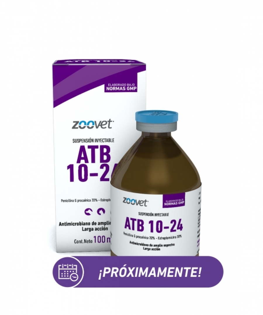 ATB 10-24