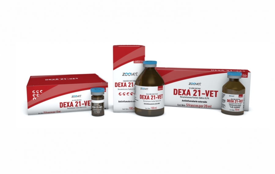 DEXA 21-VET